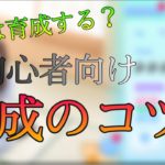 【ひなこい】初心者は見ろ！育成の極意