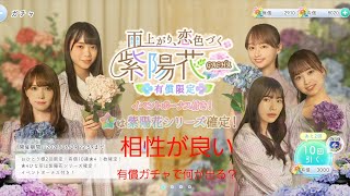 【ひなこい】雨上がり、恋色づく紫陽花ガチャ 有償ガチャで果たして何が出るか？【ガチャ】