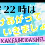 【ひなこい】第４回日向坂で会いましょうクイズ大会