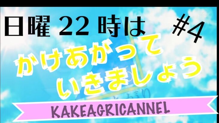 【ひなこい】第４回日向坂で会いましょうクイズ大会