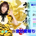 【ひなこい】寅の子2022 宮田愛萌ちゃん【紹介】