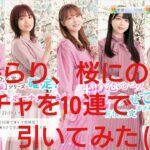 【ひなこい】恋ひらり、桜にのせてガチャを10連で引いてみた(^人^)