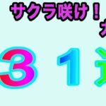 【ひなこい】サクラ咲けガチャ&無料ガチャ