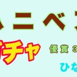 【ひなこい】ハニベアガチャ〜優賞3日分〜