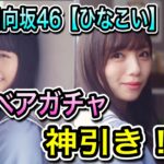 日向坂46【ひなこい】ハニベアガチャ【神引き】【おひさま】【ひなこいガチャ】