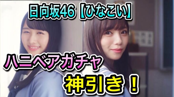 日向坂46【ひなこい】ハニベアガチャ【神引き】【おひさま】【ひなこいガチャ】