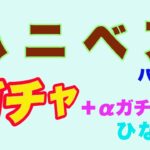 【ひなこい】ハニベアガチャパート②