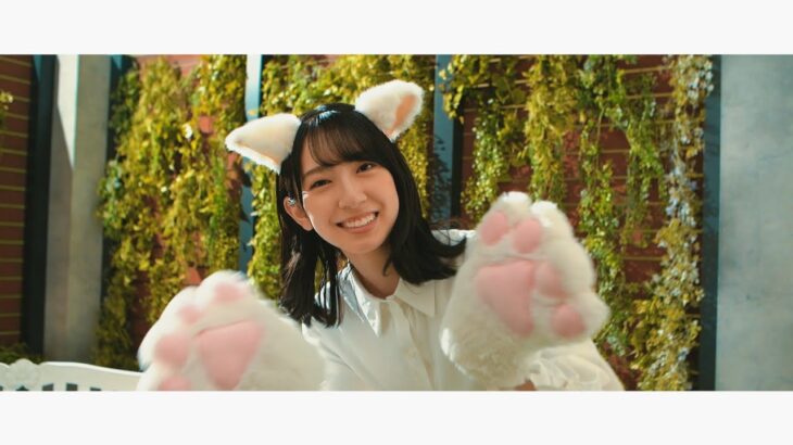 日向坂46「ひなこい」にゃんにゃん白猫姿のメンバーが登場！