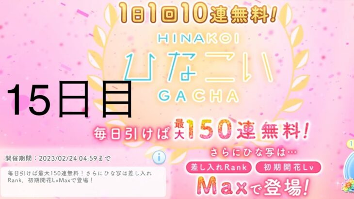 【ひなこい】無料10連×15日間(15日目)