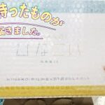 【ひなこい】ようやくあるものが届き、推しのかれしになれるそうです。